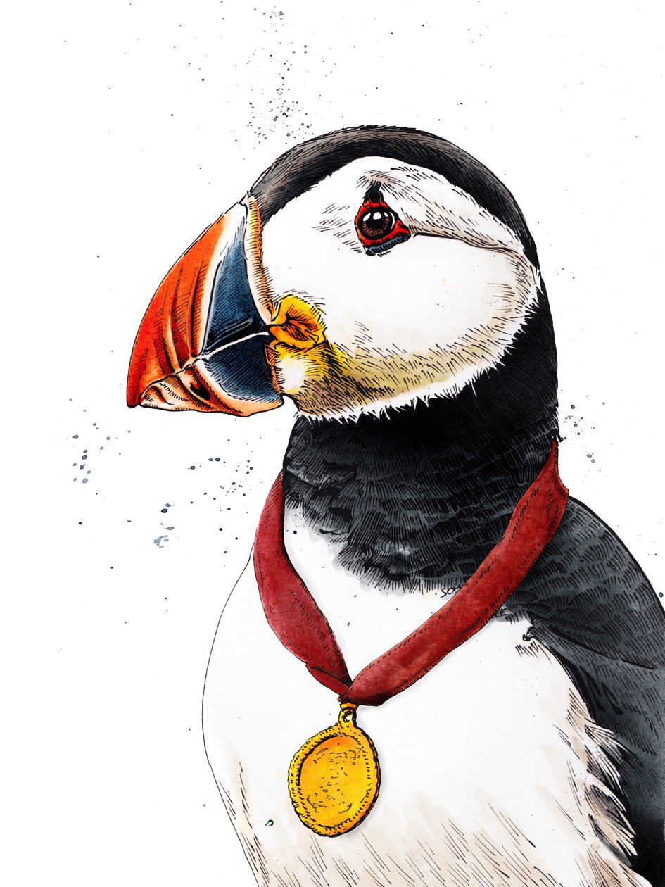 Congratulazioni pulcinella di mare su bianco, 2020 da Mike Davis