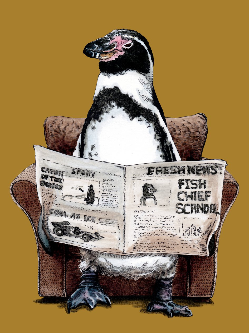 Pinguino in pensione sul giallo dorato, 2020 da Mike Davis