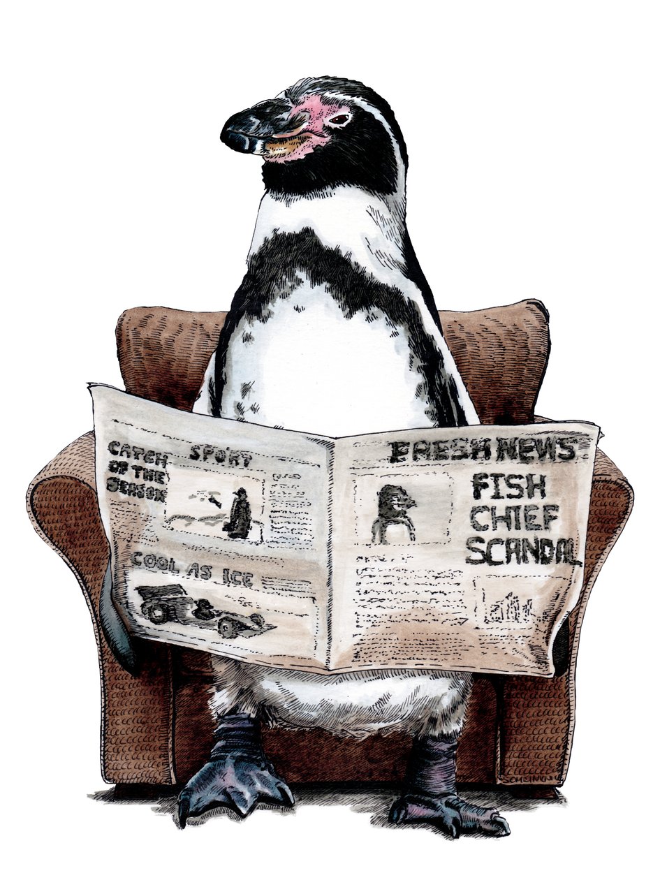 Pinguino in pensione su bianco, 2020 da Mike Davis