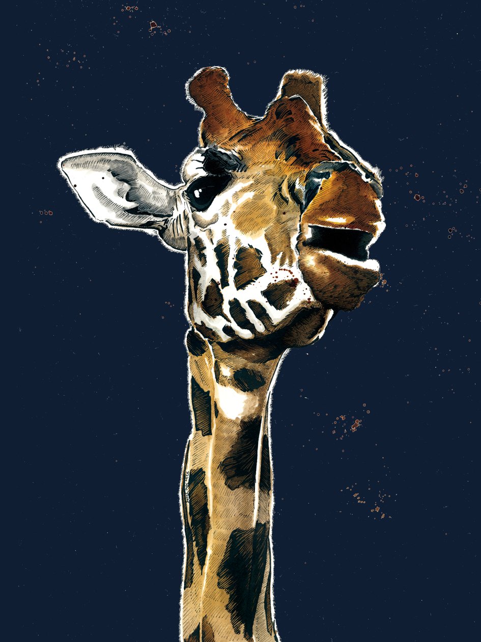 La giraffa su blu mezzanotte da Mike Davis