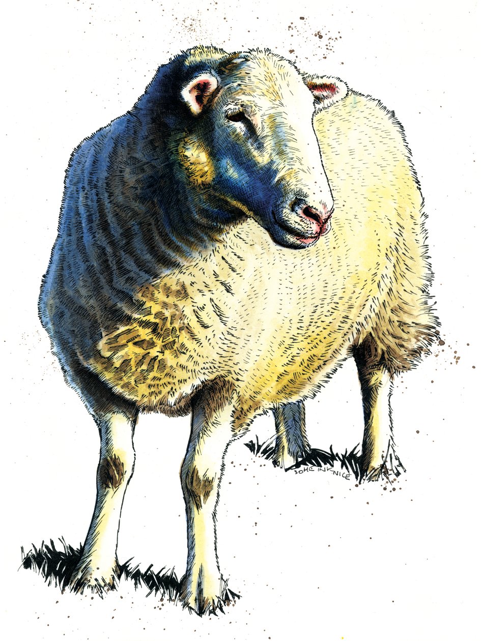 La Pecora su Bianco, 2020 da Mike Davis