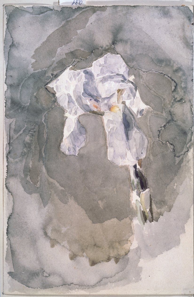 Iris bianco da Mikhail Aleksandrovich Vrubel