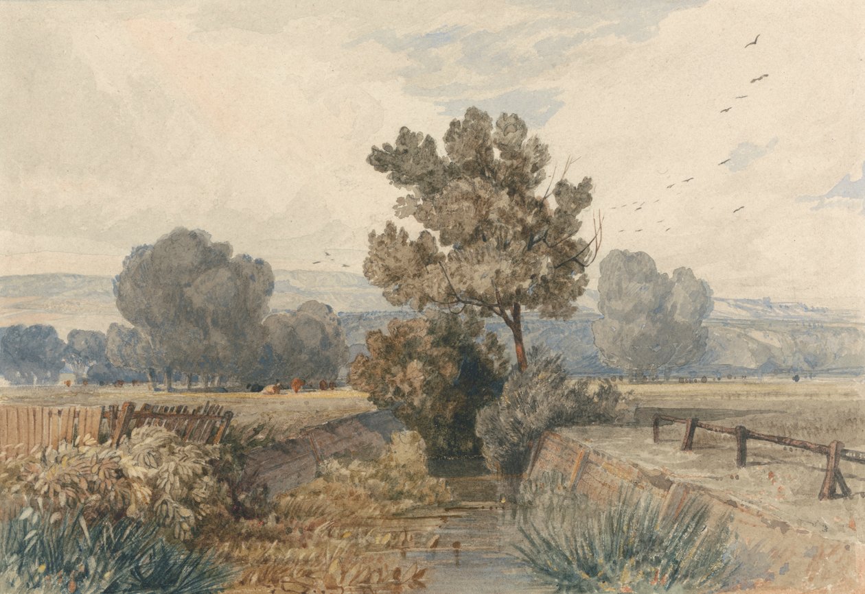 Scena a Elmham, Norfolk da Miles Edmund Cotman
