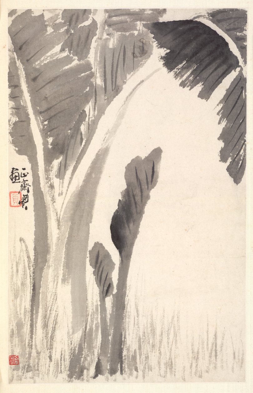 Piante di Banana da Min Zhen
