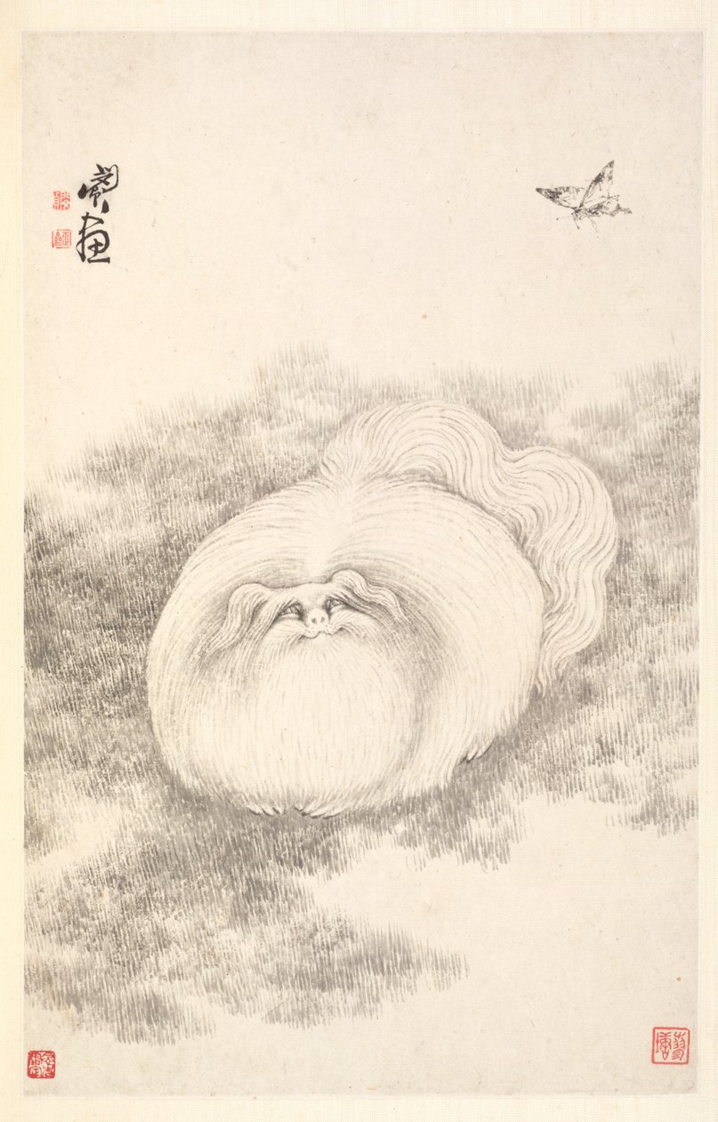 Gatto e farfalla da Min Zhen