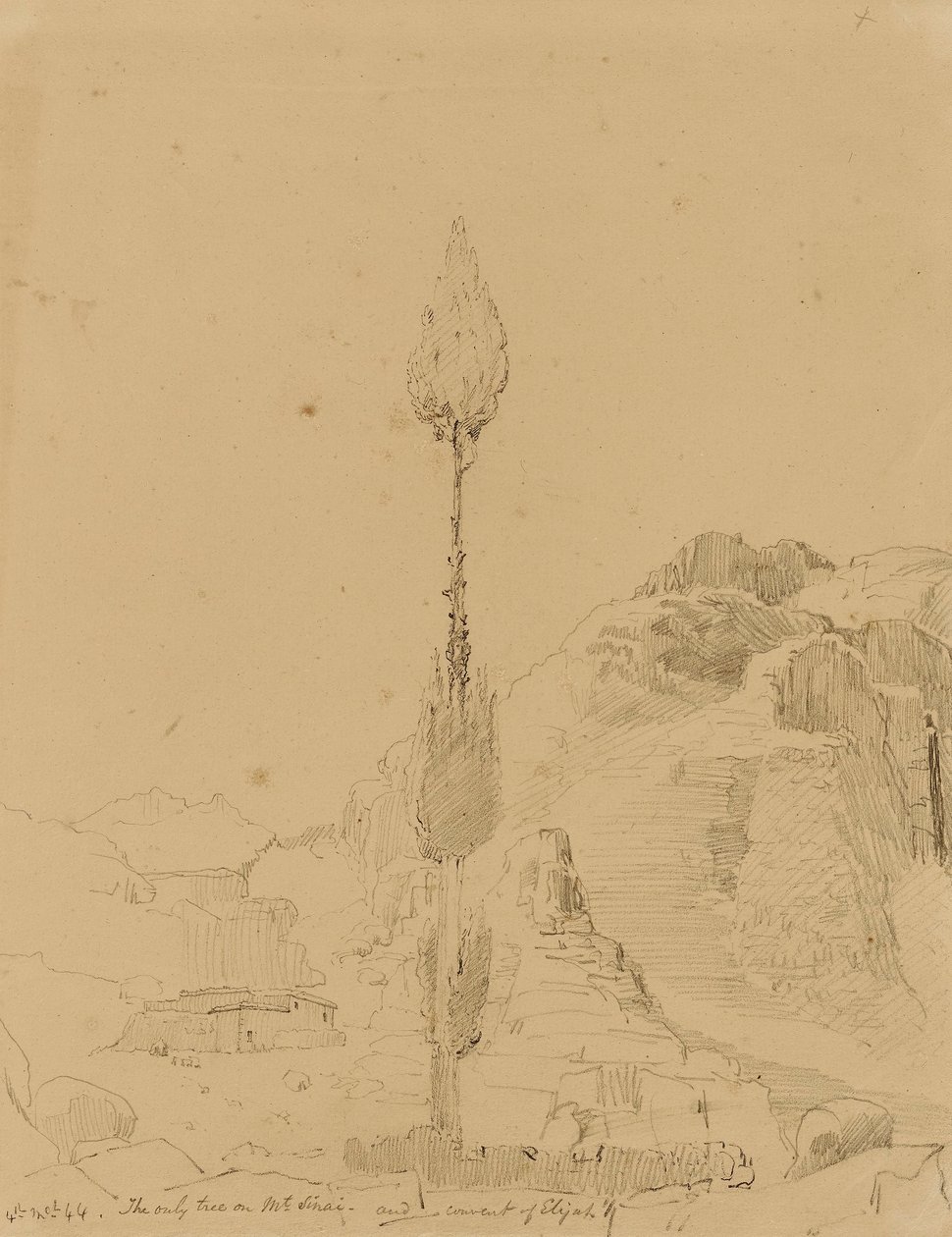 Quercia sul Monte Sinai da Miner Kilbourne Kellogg