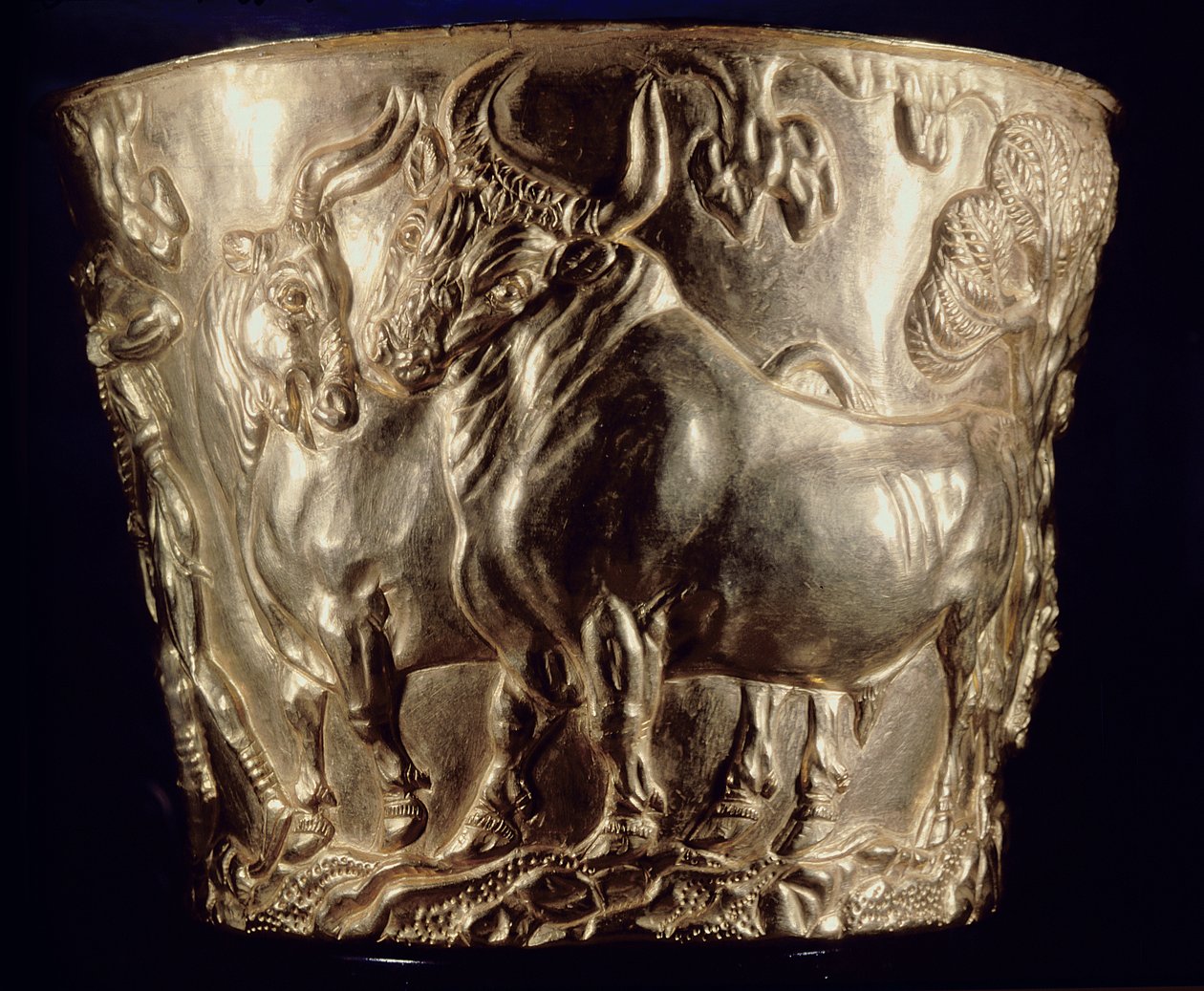 Coppa, raffigurante un toro domestico, trovata nella tomba reale di Vaphio, Sparta, tardo Minoico I, c.1500 a.C. da Minoan