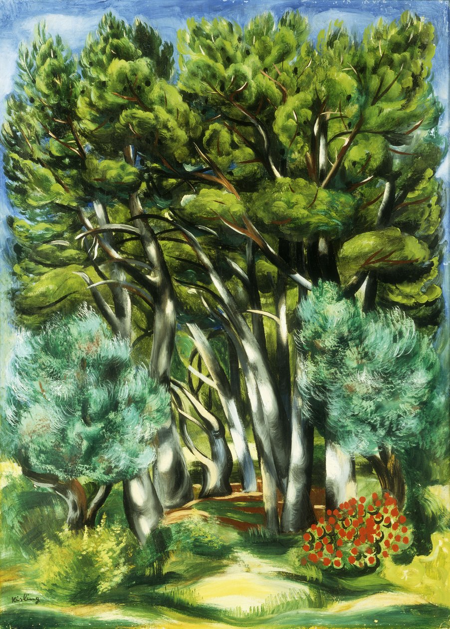 Paesaggio da Moise Kisling
