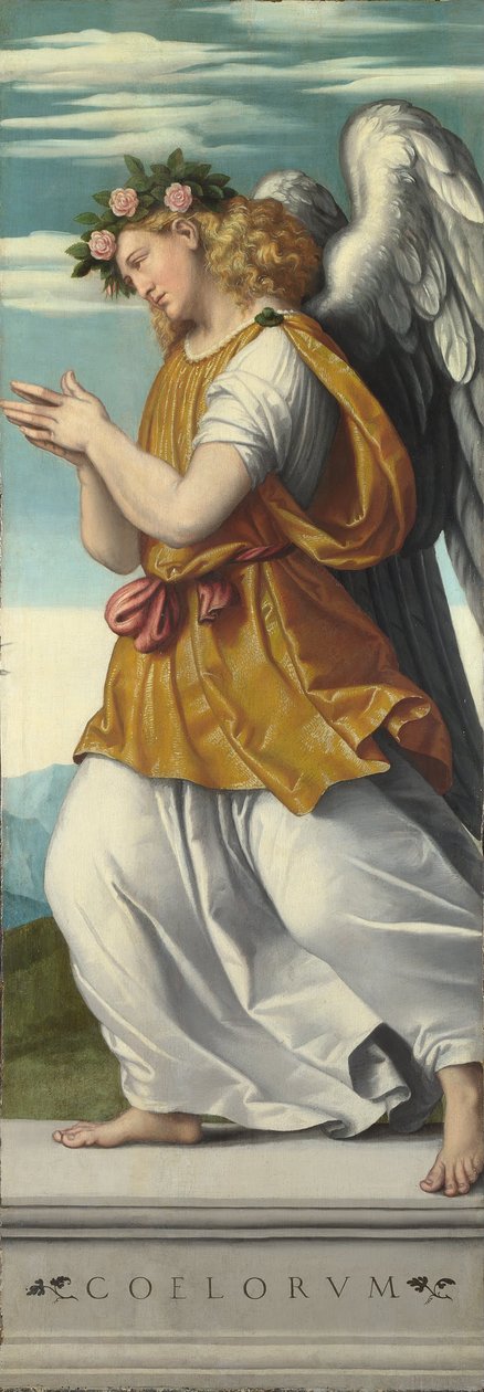 Un angelo adorante (1) da Moretto da Brescia