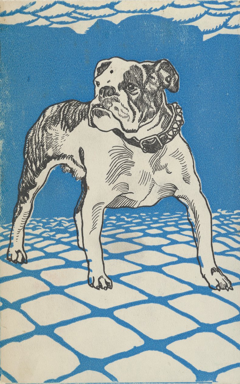 Bulldog da Moritz Jung