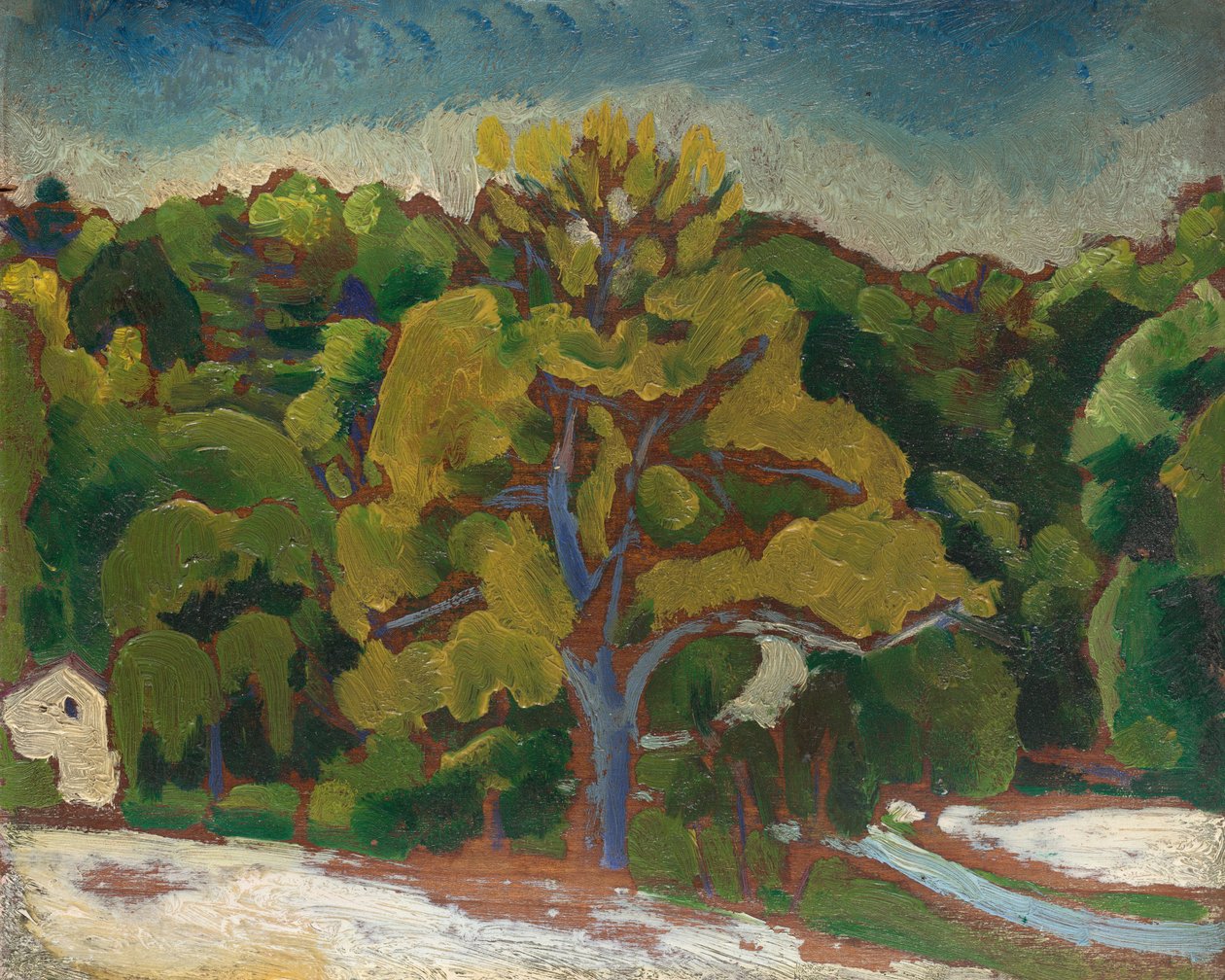 Paesaggio da Morton Livingston Schamberg