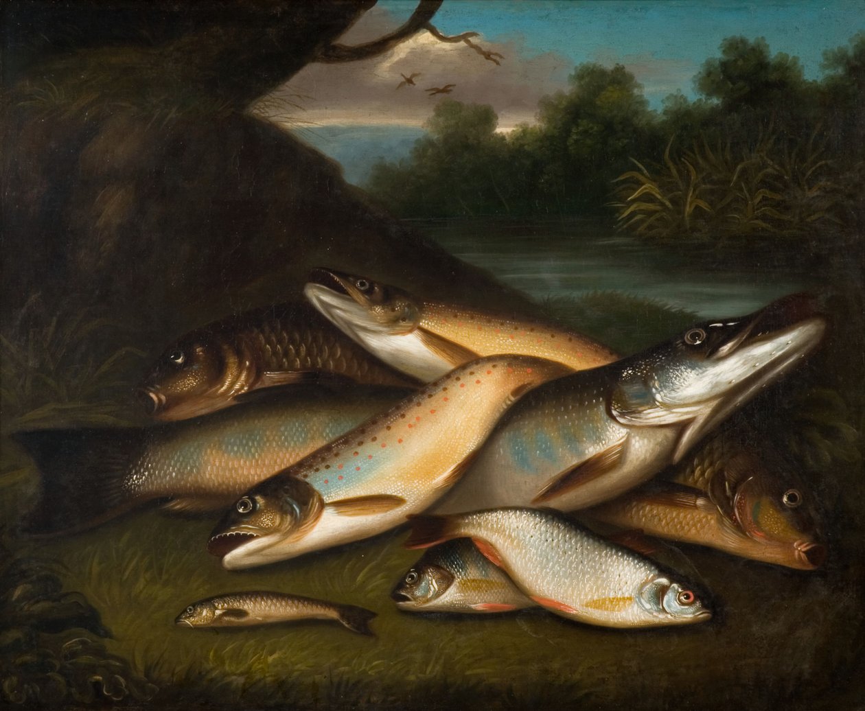 Pesce, 1790 da Moses Haughton