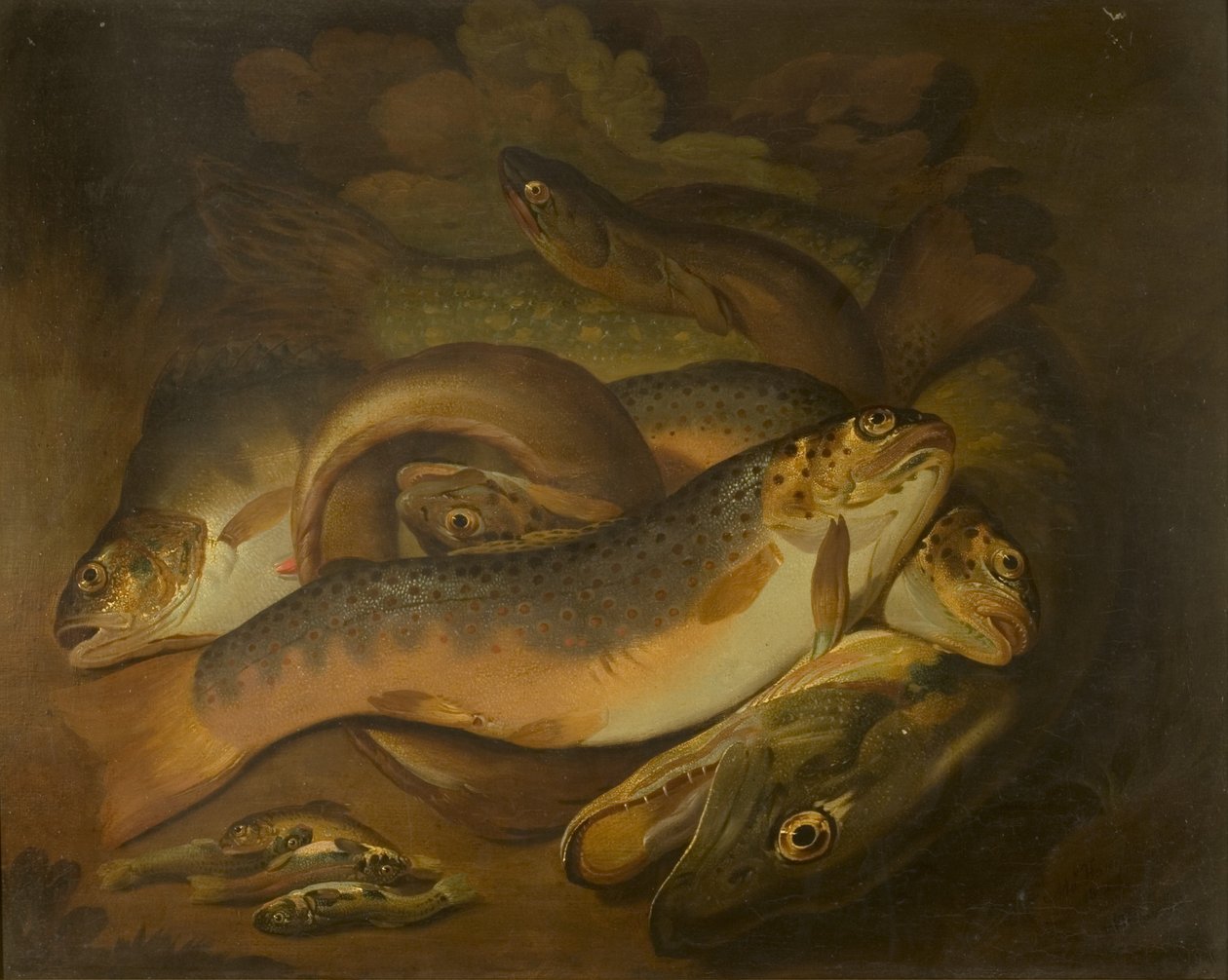 Pesci da Moses Haughton