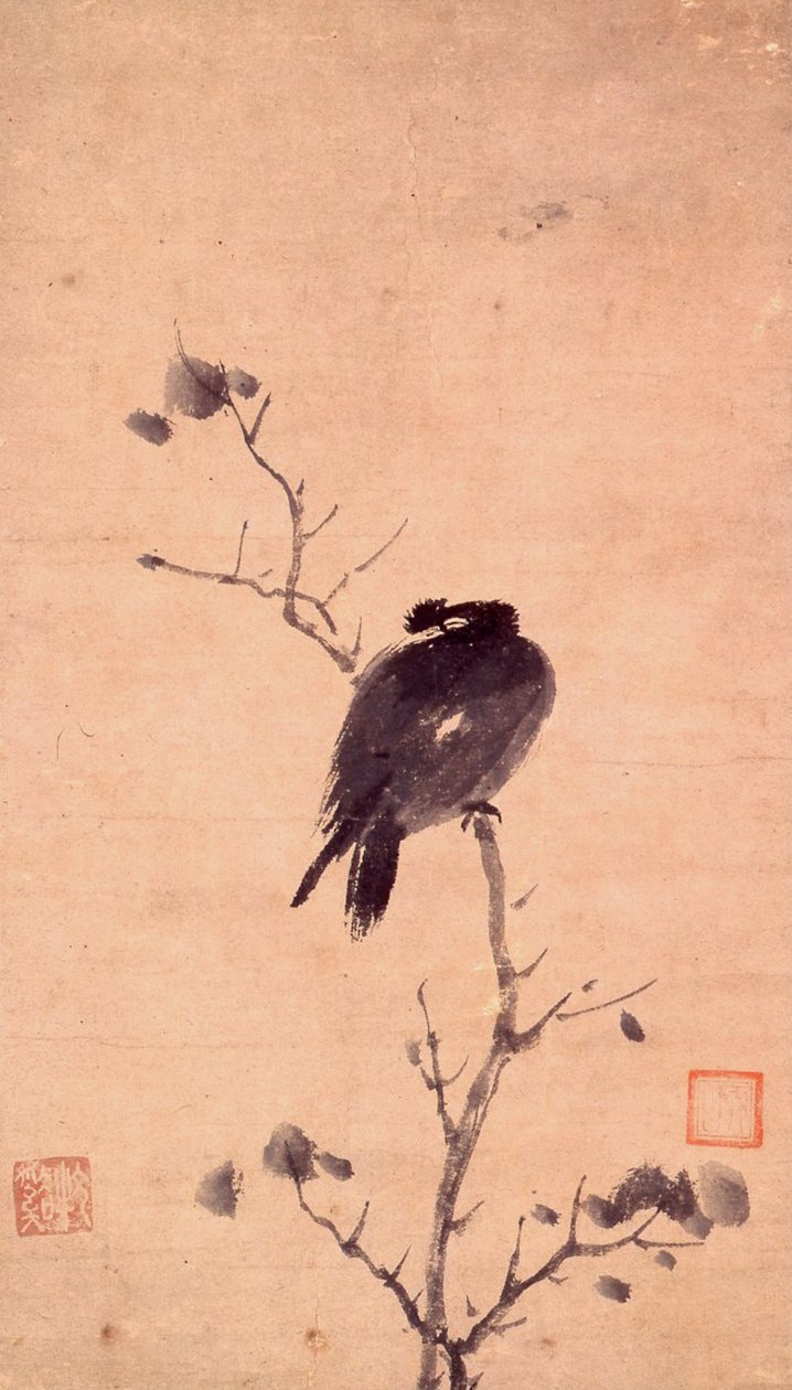 Uccello Myna da Mu Xi