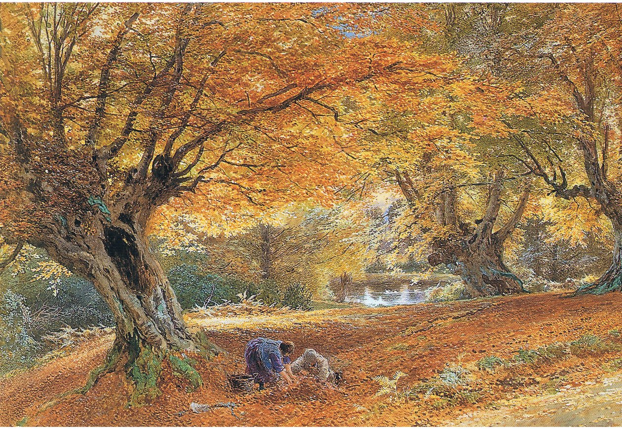 Burnham Beeches da Myles Birket Foster