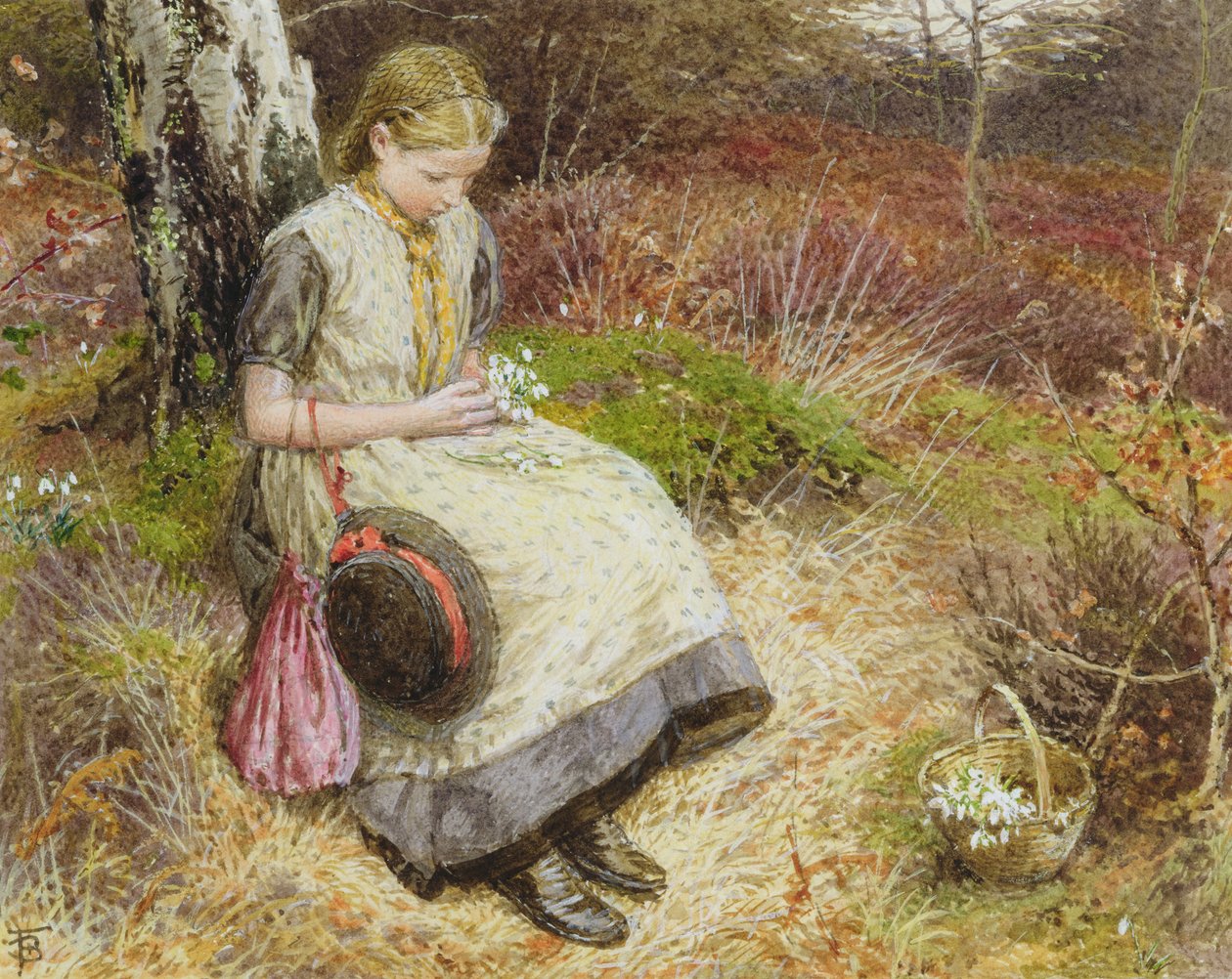Bucaneve da Myles Birket Foster