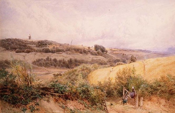 Paesaggio estivo vicino a Haslemere, Surrey da Myles Birket Foster