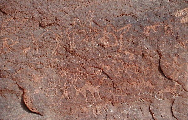 Petroglifi sul lato di una scogliera da Nabatean