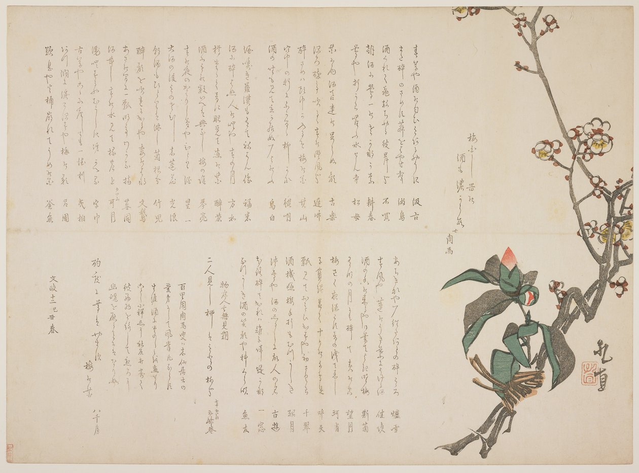 Rami di Prugna e Camelia da Nagayama Kchoku