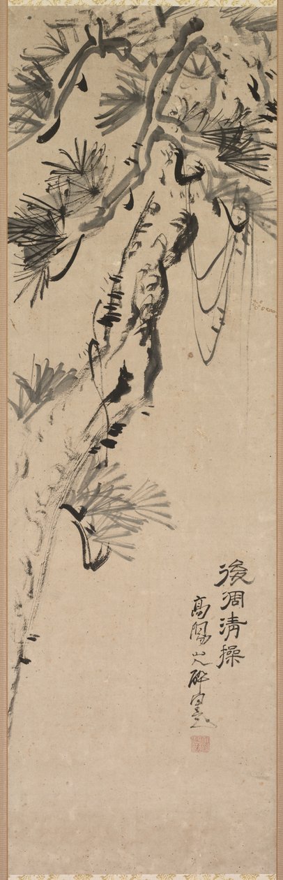 Pino invecchiato da Nakayama Koyo