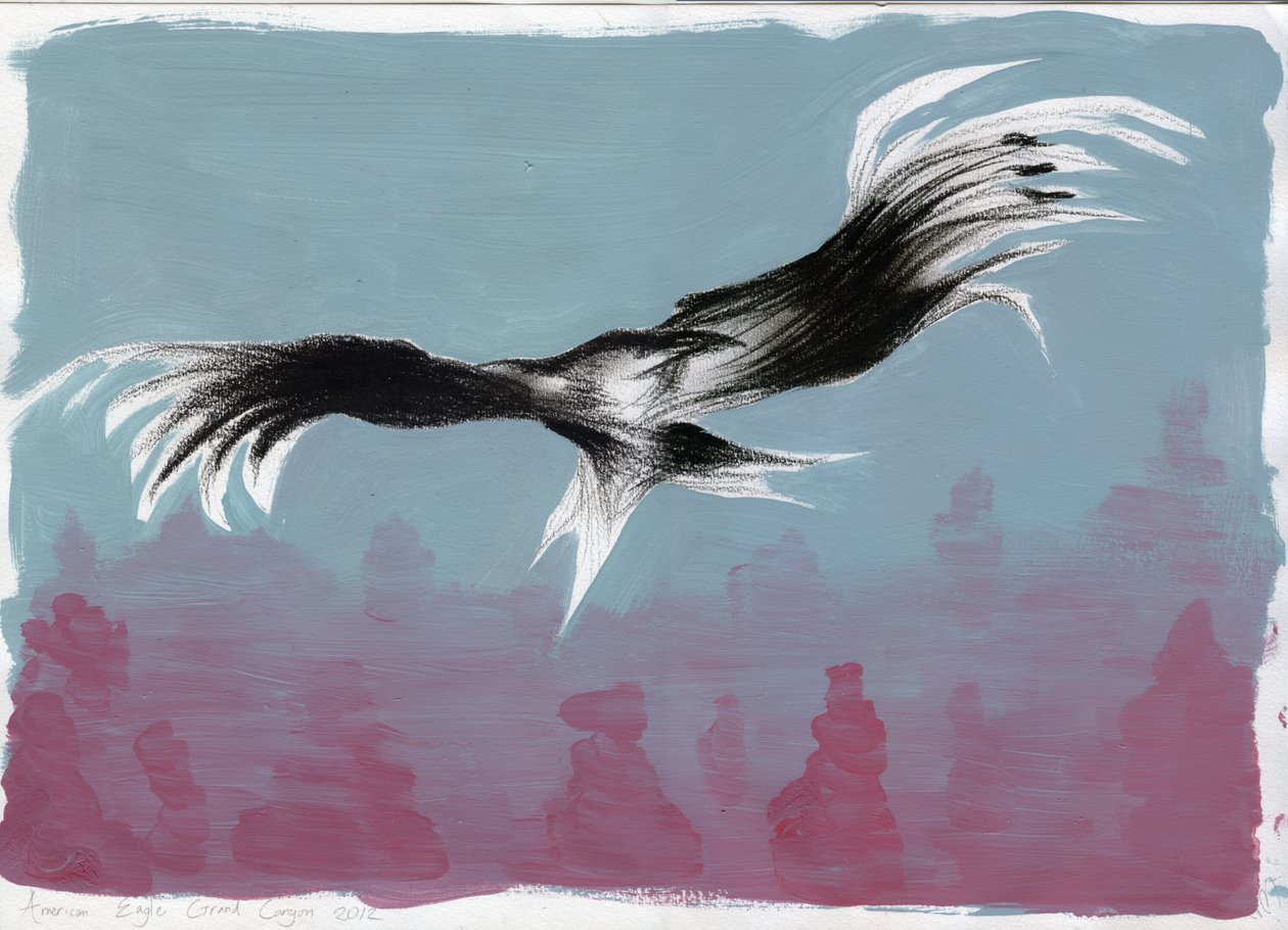 Aquila del Canyon, 2014 da Nancy Moniz Charalambous