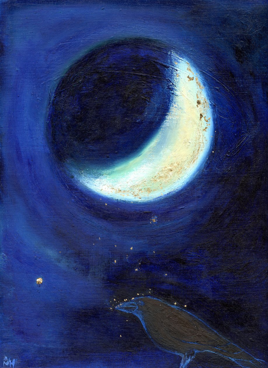 Luna di luglio, 2014 da Nancy Moniz Charalambous