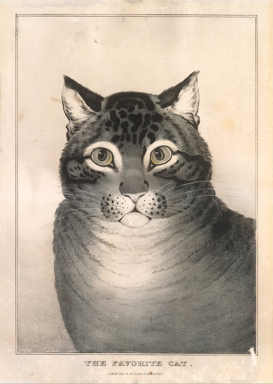 Il gatto preferito da Nathaniel Currier