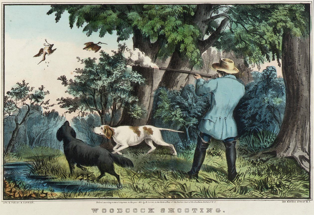 Tiro alla beccaccia da Nathaniel Currier