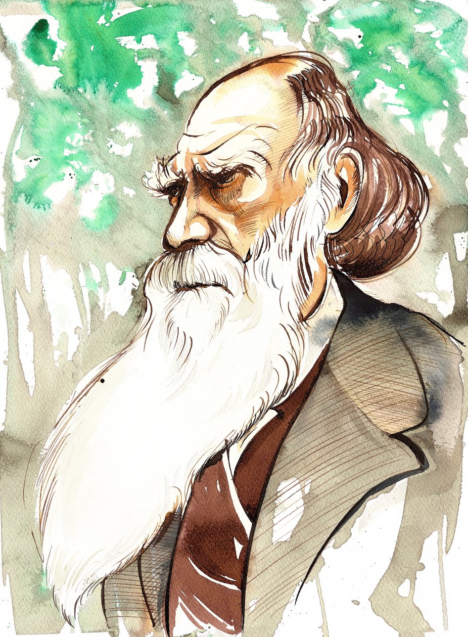 Charles Darwin (naturalista e scrittore inglese, 1809-82) ritratto da Neale Osborne