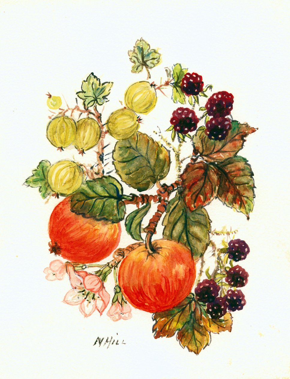 Rovi, mele e uva da Nell Hill