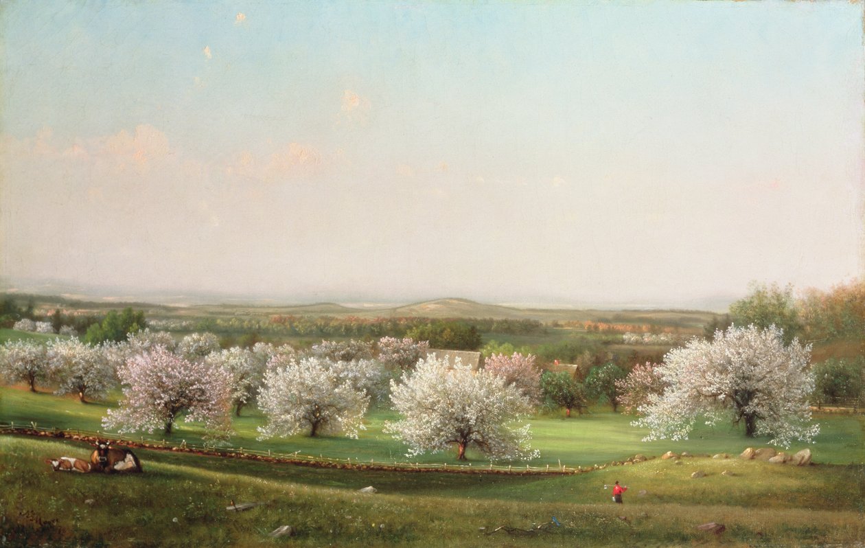 Frutteto di mele, 1878 da Nelson Augustus Moore