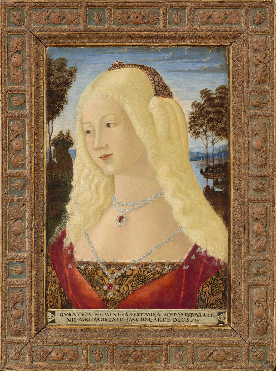 Ritratto di una signora da Neroccio de