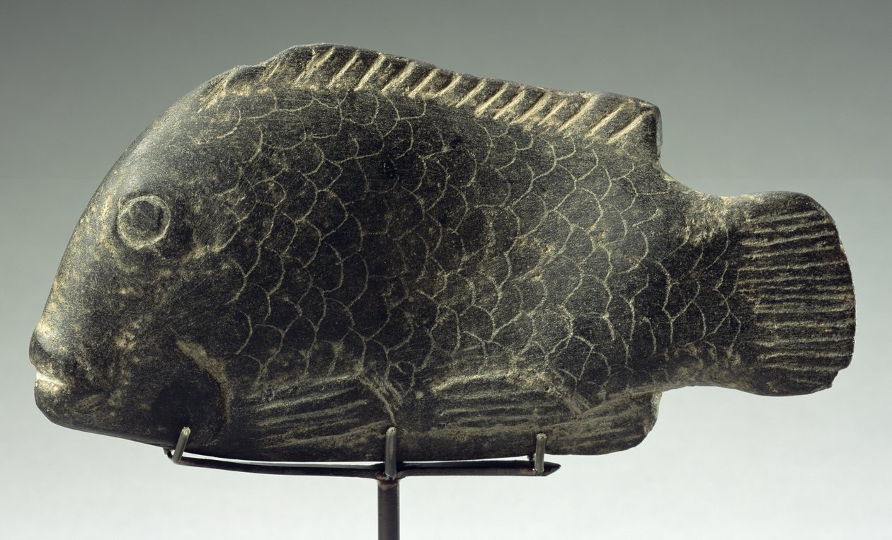 Pesce, 1540-1069 a.C. da New Kingdom Egyptian