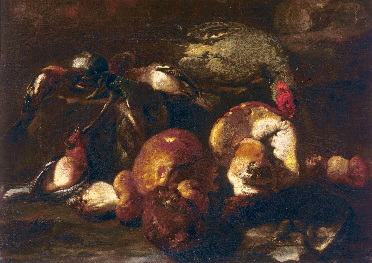 Uccelli e funghi da Nicasius 1620 78 Bernaerts