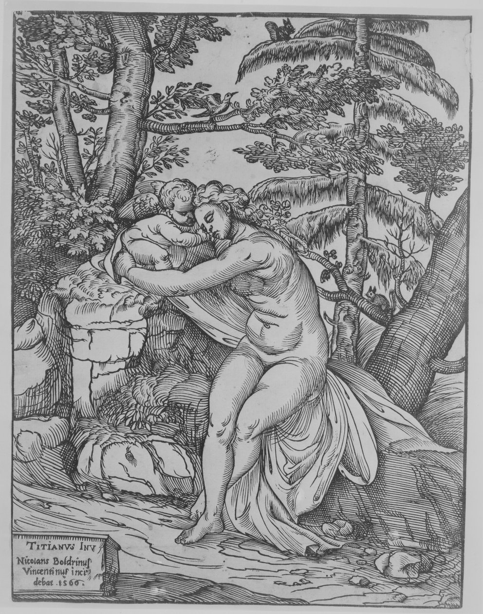Venere e Cupido da Nicolò Boldrini