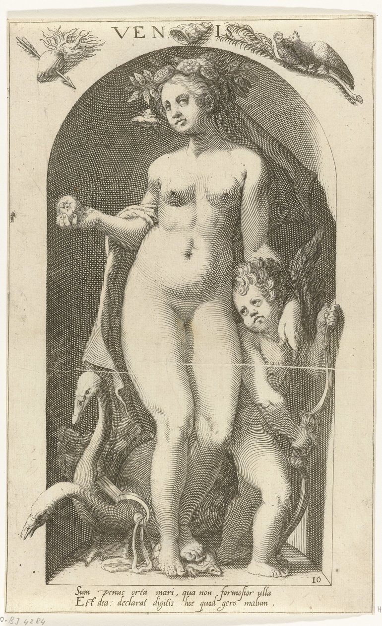 Venere da Nicolaas Braeu