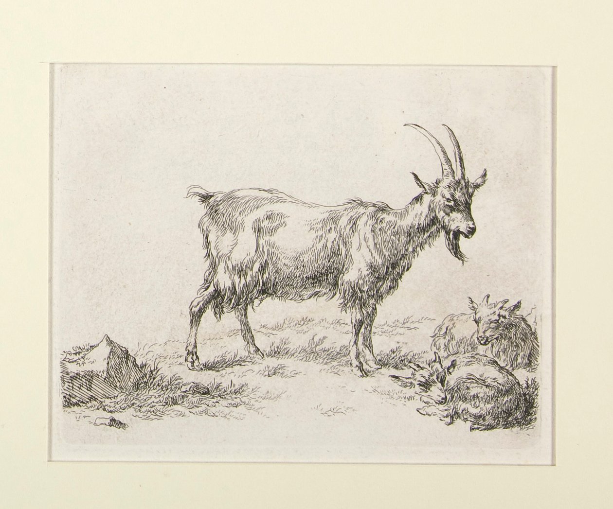 6 incisioni da da Nicolaes Berchem