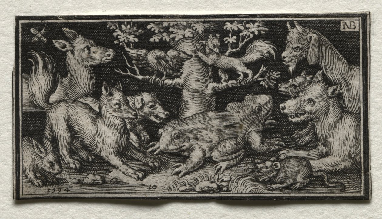 Rana a due teste circondata da animali, 1594 da Nicolaes de Bruyn