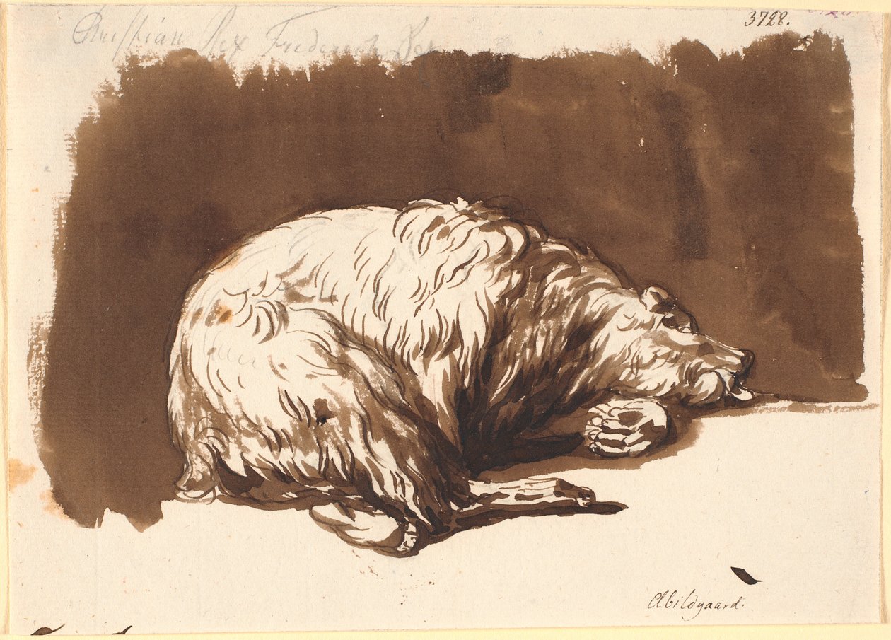 Un orso sdraiato da Nicolai Abildgaard
