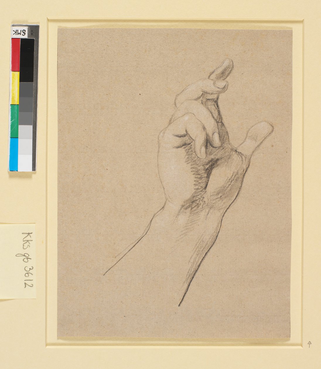 Studio di una mano da Nicolai Abildgaard