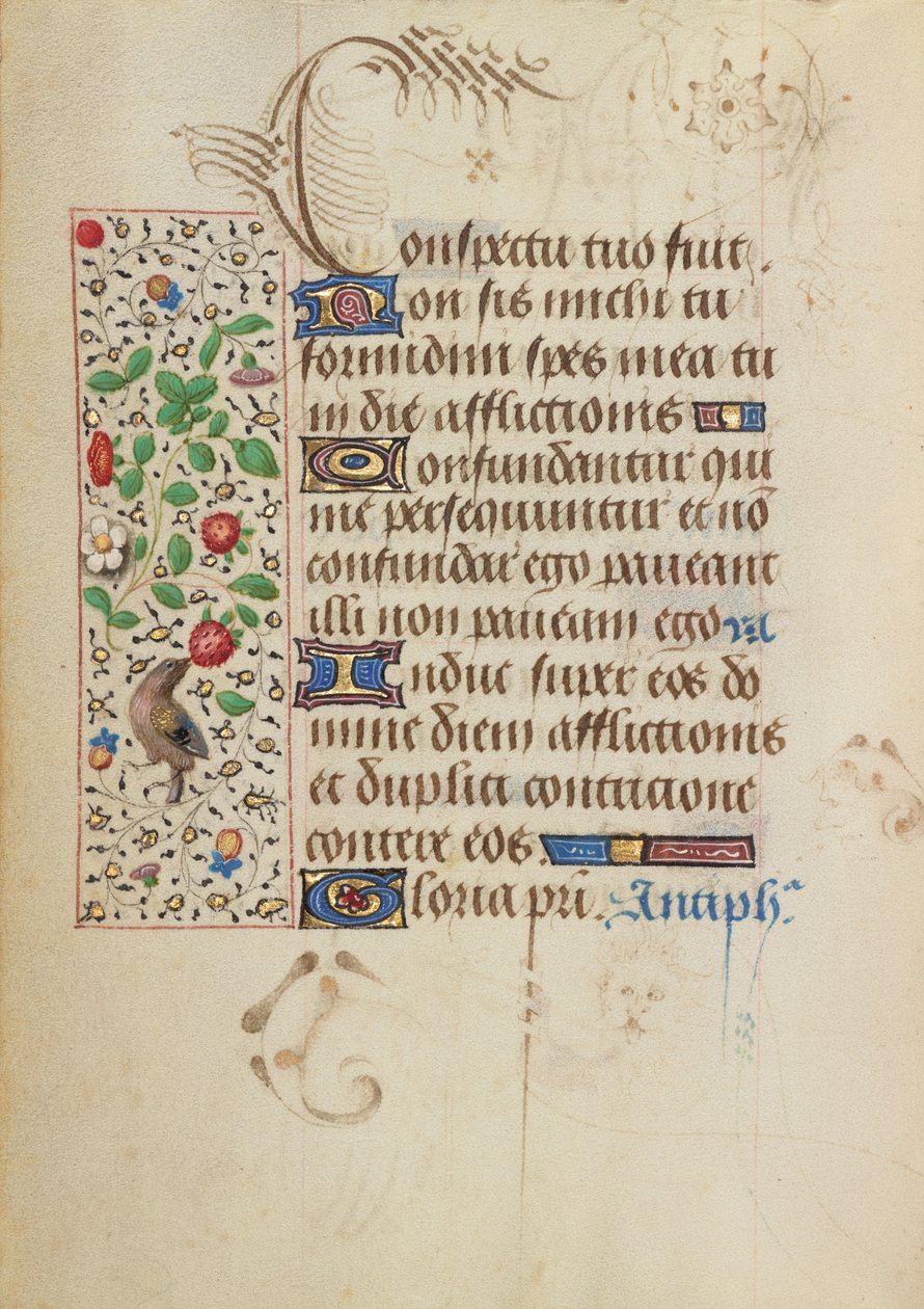 Pagina di testo decorata da Nicolas Spierinc