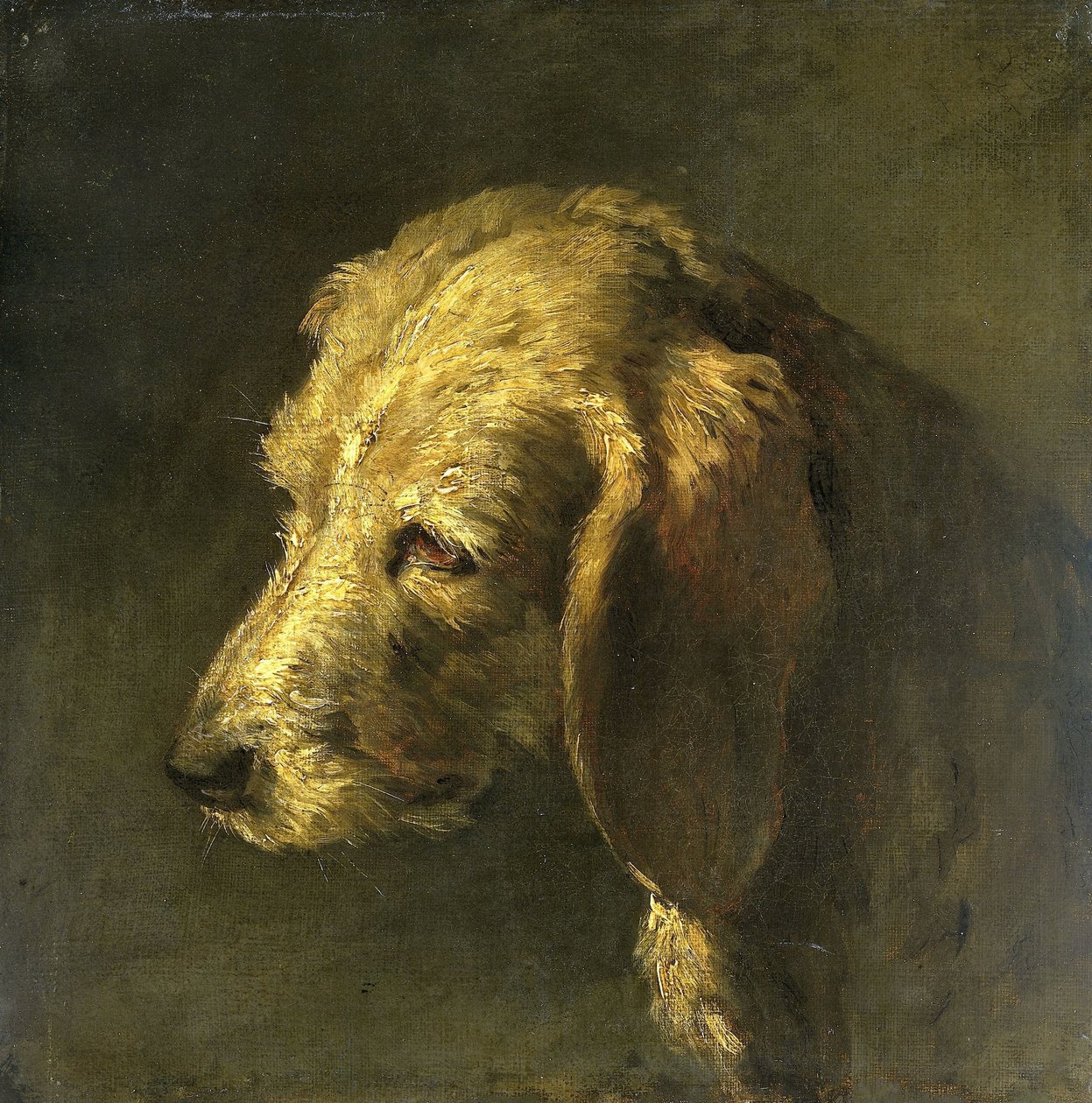 Testa di cane da Nicolas Toussaint Charlet (attributed to)