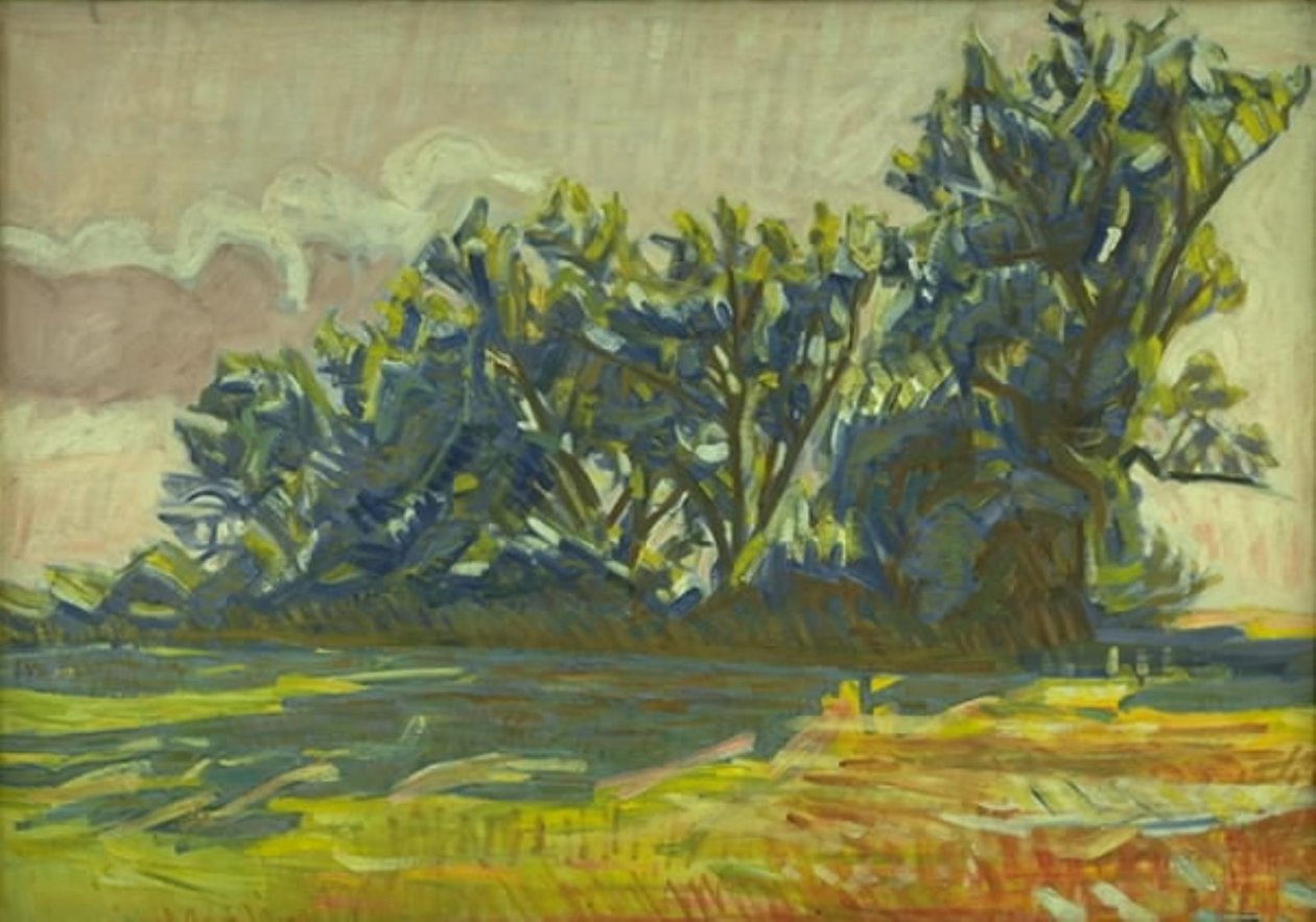 Fila di salici vicino a Borup da Niels Larsen Stevns