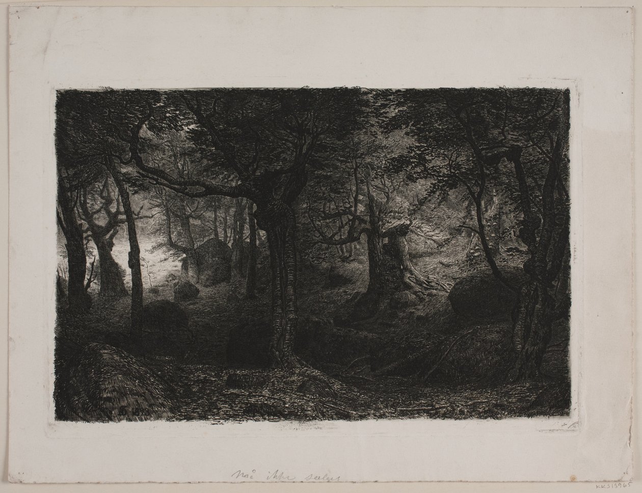 La foresta incantata da Niels Skovgaard