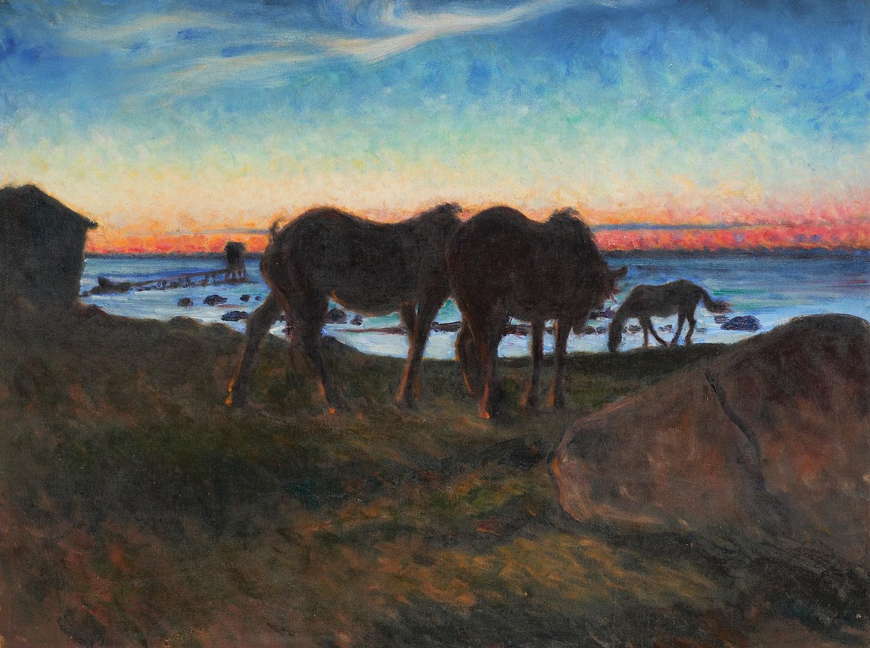 Cavalli al tramonto da Nils Kreuger