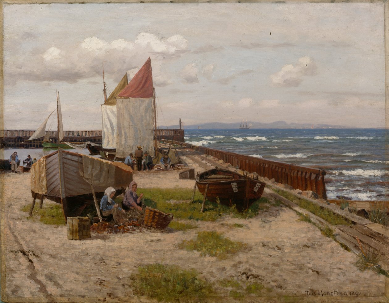 Sulla costa da Nils Hansteen