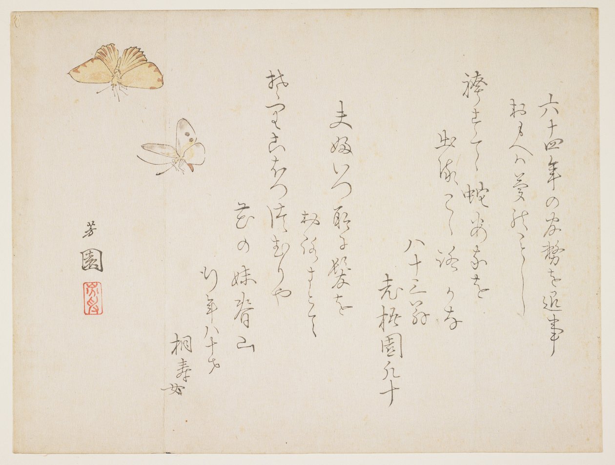 (Farfalle) da Nishiyama Hoen