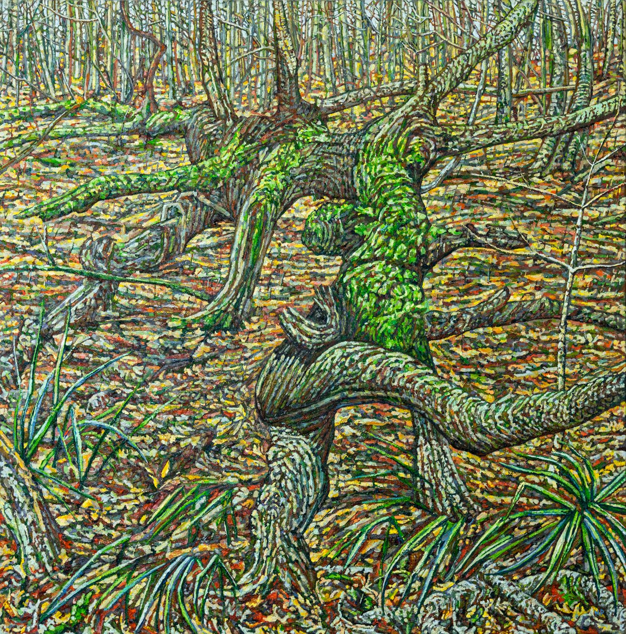 Herbst Tors da Noel Paine