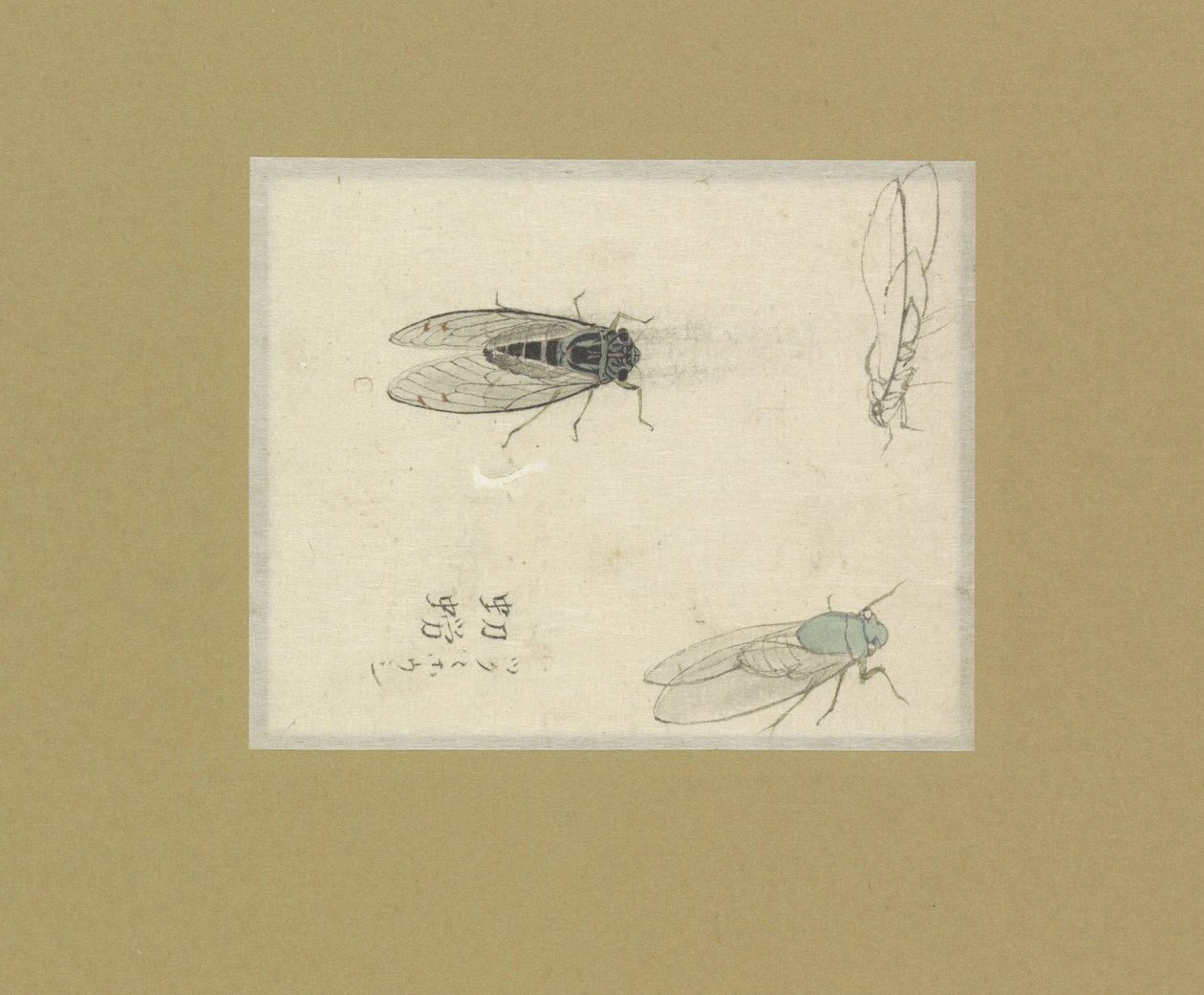 Tre studi di mosche da Nonoyama Kozan (possibly)