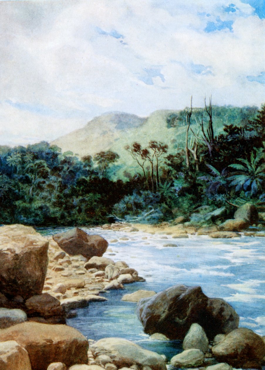 Paesaggio a Eromanga, Nuove Ebridi, 1908 da Norman Hardy